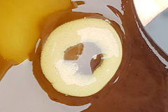 Lacuninae