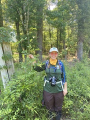 Amorpha paniculata, photograph author not stated, no rights reserved