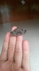 Azeta