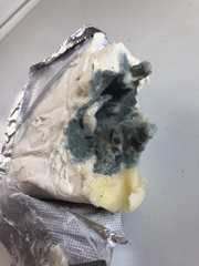 Penicillium roqueforti