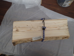 Monochamus marmorator