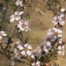 Leptospermum parvifolium - Photo (c) Irene Richardson, algunos derechos reservados (CC BY-NC-SA), uploaded by Irene Richardson