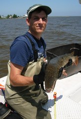 Atractosteus spatula