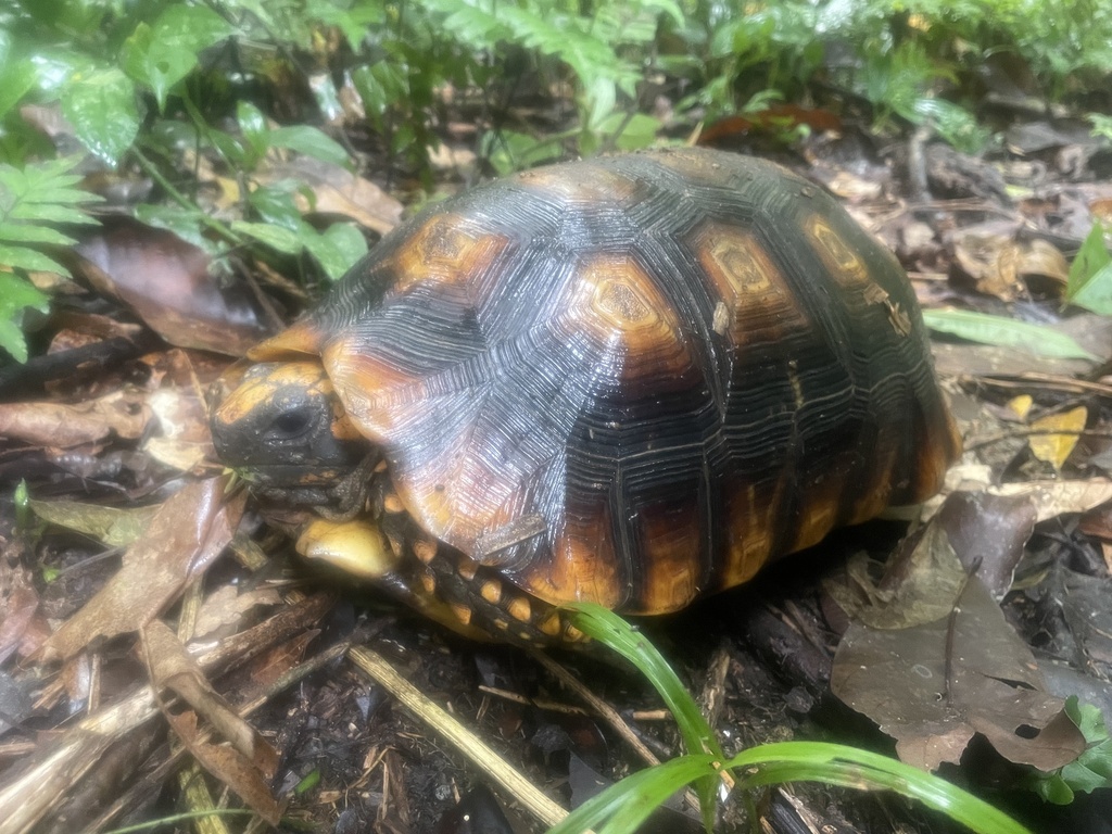 Photo by Vincent Weber