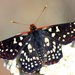 Mariposas Parches - Photo (c) David Hofmann, algunos derechos reservados (CC BY-NC-ND)