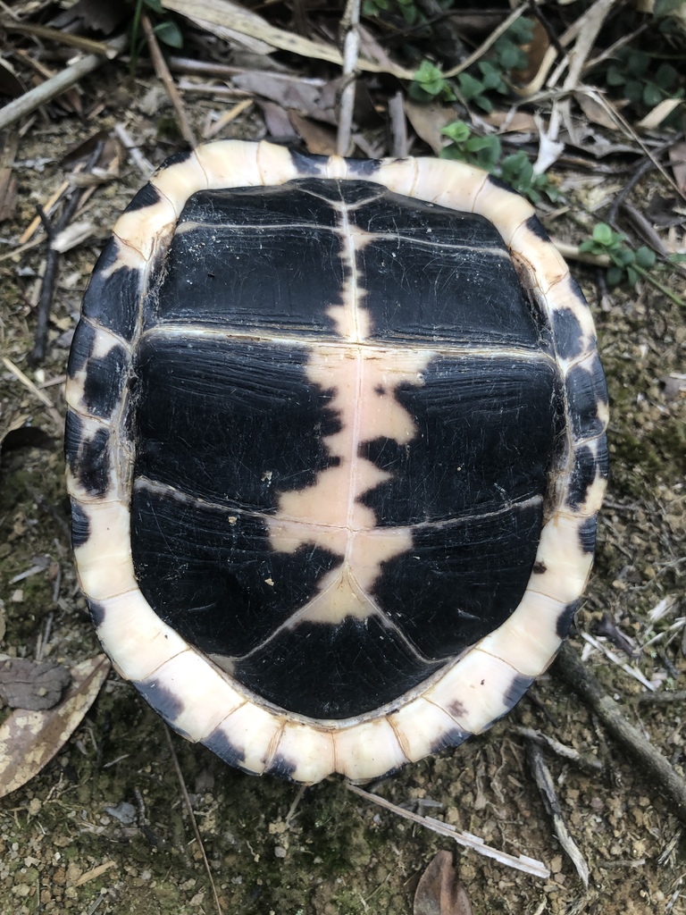 Photo by greenaardvark