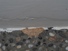 Perixera illepidaria