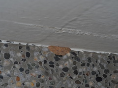 Perixera illepidaria