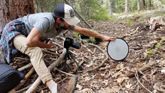 Conocybe semiglobata