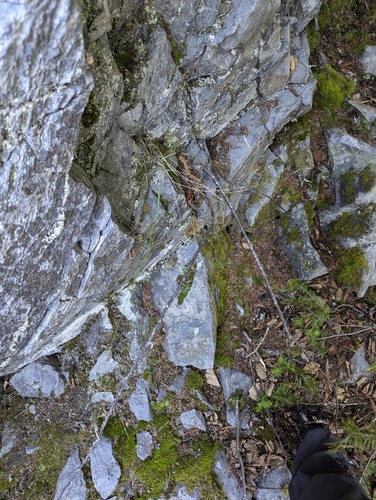 Image of Poa interior by no rights reserved