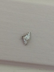 Hileithia rehamalis