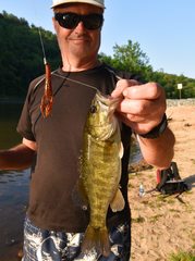 Micropterus cataractae