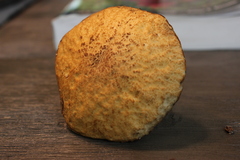 Leccinellum crocipodium