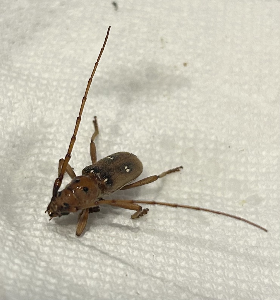 North Texas Jellystone Park Upcoming Events North Texas Jellystone Park Upcoming Events