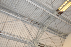 Hypsignathus monstrosus