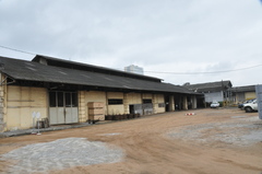 Hypsignathus monstrosus