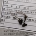 ツチカメムシタケ