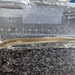 Chestnut Lamprey - Photo (c) qfc79, some rights reserved (CC BY), uploaded by qfc79