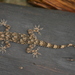 Tasman's Leaf-toed Gecko - Photo no rights reserved, uploaded by Simon Tonge