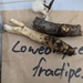 Loweomyces fractipes