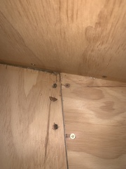 Pyrausta subsequalis