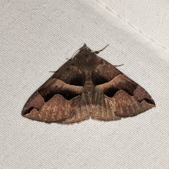 Gondysia
