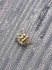 Sphaerocoris annulus