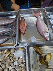 Pale Snapper photo 3