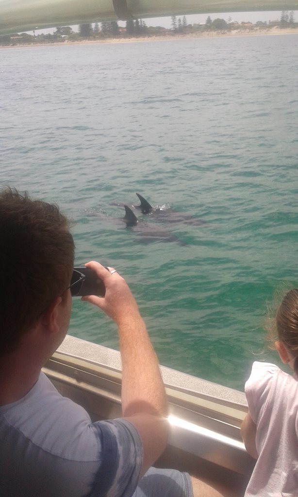 Tursiops aduncus<br>21 February, 2016