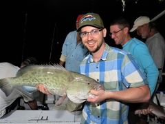 Mycteroperca microlepis