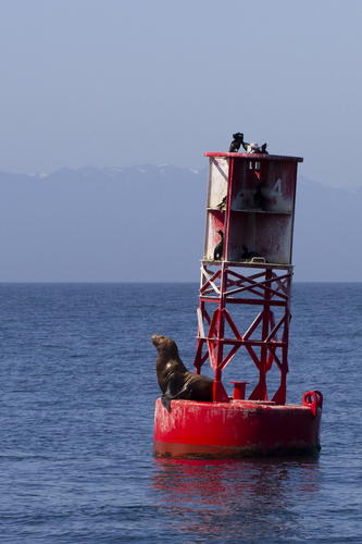 (c) David Robichaud, some rights reserved (CC BY-NC)