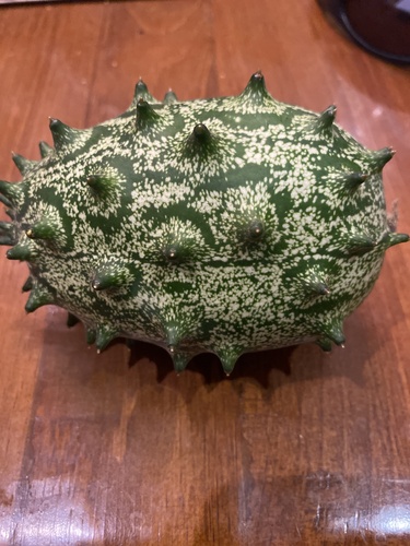 Image of Cucumis metuliferus by (c) Brock, some rights reserved (CC BY)