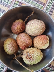 Litchi