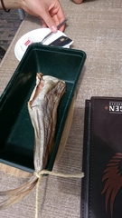 Merlangius merlangus