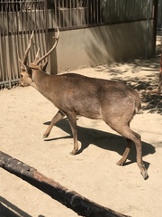 Axis