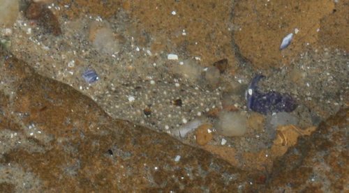 Arnoglossus muelleri