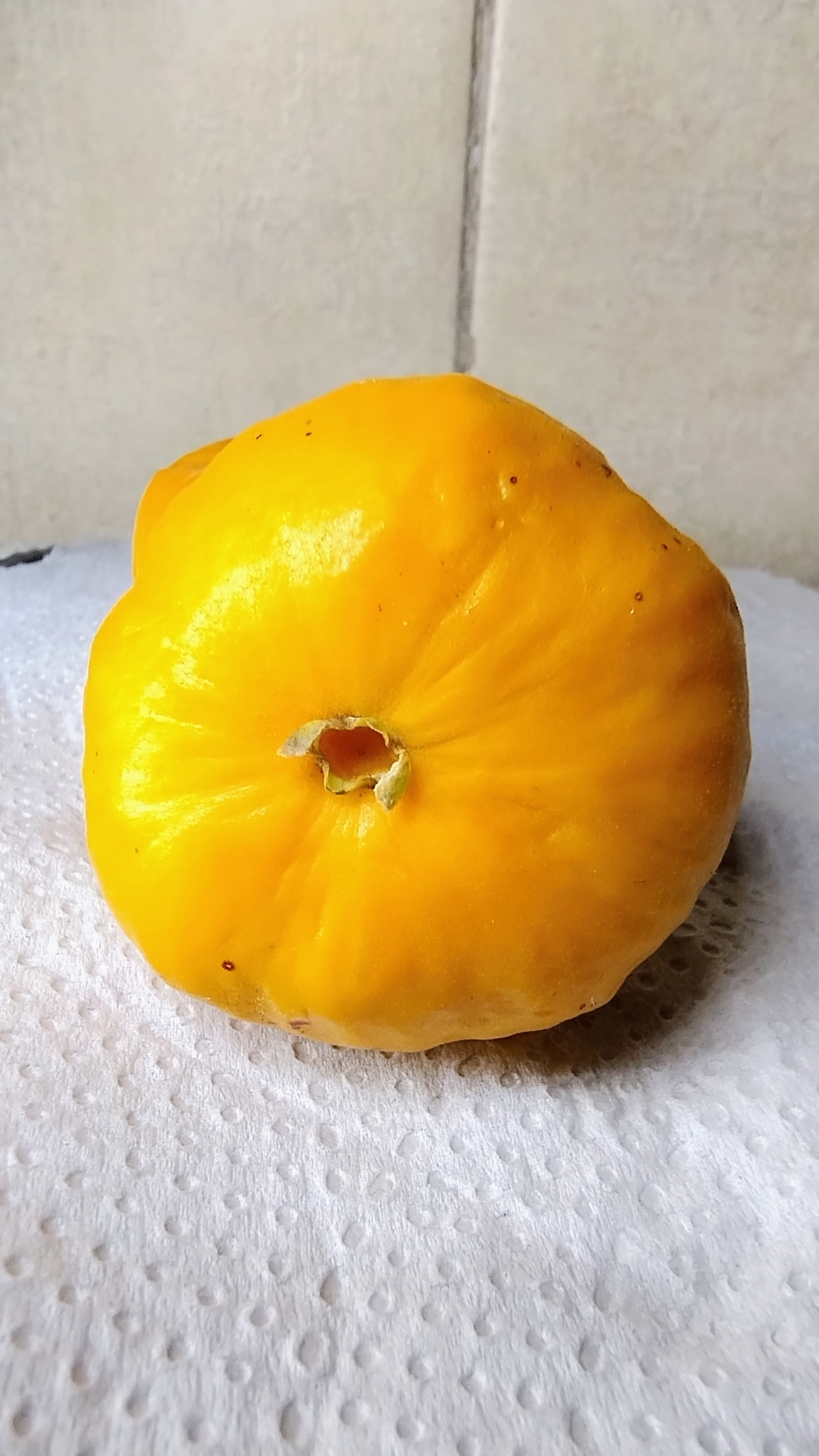 Imagem de Uvaia