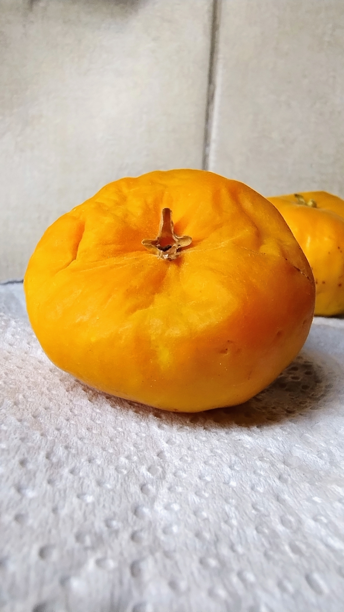 Imagem de Uvaia