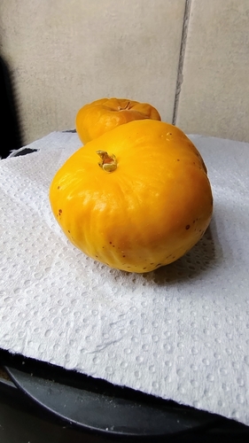 Foto de Uvaia