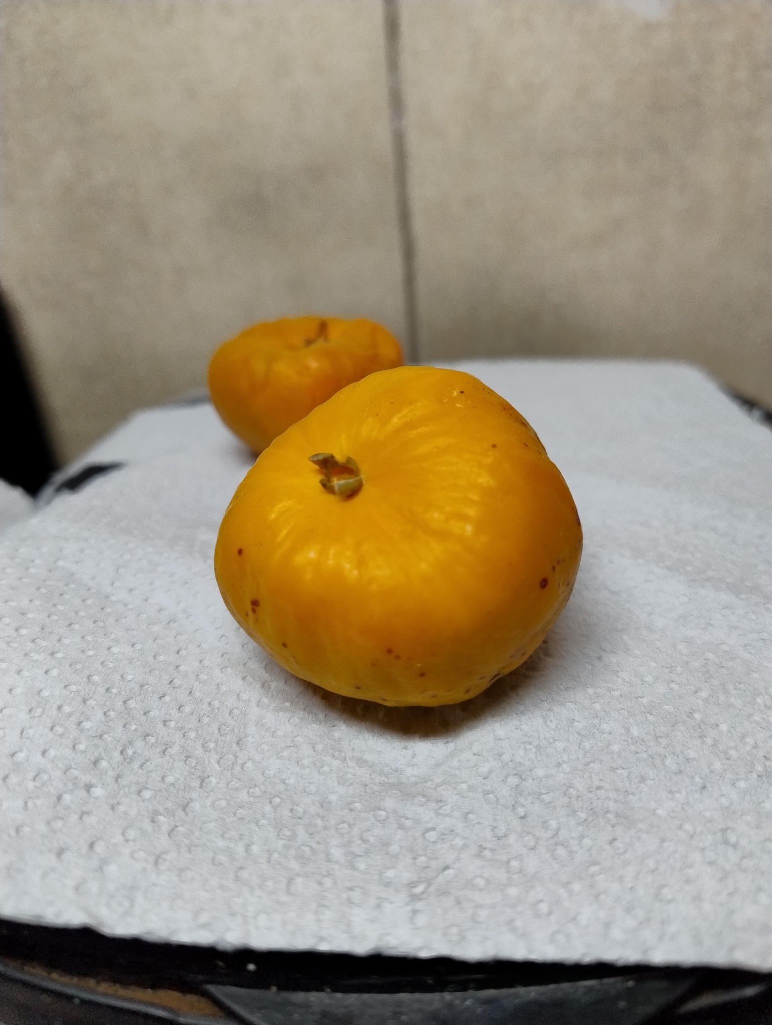Imagem de Uvaia