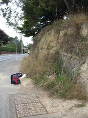 Rytidosperma unarede