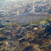 Brown Trout - Photo (c) Carol McDougall, some rights reserved (CC BY-NC), uploaded by Carol McDougall