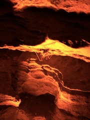 Hadenoecus subterraneus