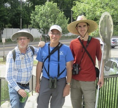 Somatochlora williamsoni