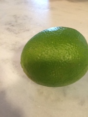 Citrus × latifolia