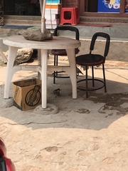 Acridotheres tristis