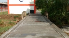 Callipepla douglasii