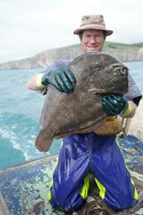 New Zealand Turbot photo 1