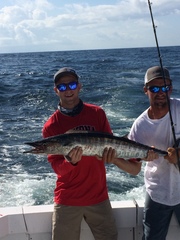 Acanthocybium solandri