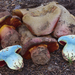 Rubroboletus haematinus - Photo (c) noah_siegel,  זכויות יוצרים חלקיות (CC BY-NC-SA), הועלה על ידי noah_siegel